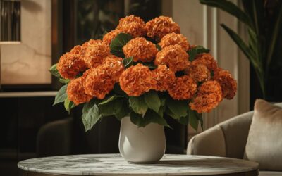 Les meilleures boutiques en ligne pour commander votre Hortensia haut de gamme orange